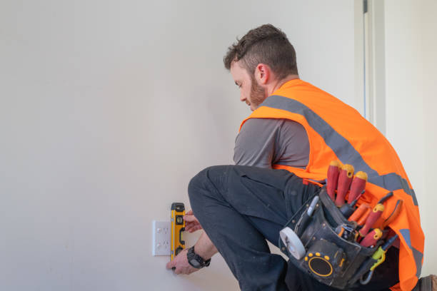 Best Electric Panel Repair  in Two Rivers, WI